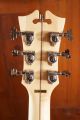 D'Angelico Deluxe Atlantic Matte Walnut