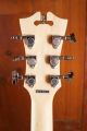 D'Angelico Premier Brighton Black