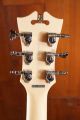 D'Angelico Premier Brighton Sky Blue