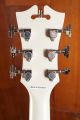 D'Angelico Premier DC (With Stairstep Tailpiece) Champagne
