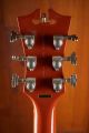 D'Angelico Deluxe SS LE Rust