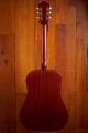 Guild D-20 Natural
