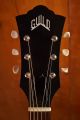 Guild D-20 Natural
