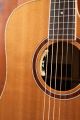 Lakewood D-53 Custom with Cutaway