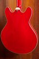 Eastman T386RD