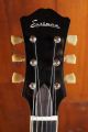Eastman T386RD