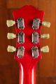 Eastman T386RD