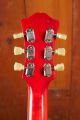 Eastman T486RD