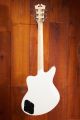 D'Angelico Premier Grateful Dead Bedford Dancing BearsÂ 