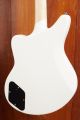 D'Angelico Premier Grateful Dead Bedford Dancing BearsÂ 