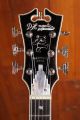 D'Angelico Premier Grateful Dead Bedford Dancing BearsÂ 