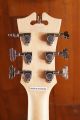 D'Angelico Premier Grateful Dead Bedford Dancing BearsÂ 