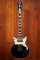 D'Angelico Premier Brighton - Black Flake