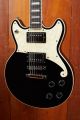 D'Angelico Premier Brighton - Black Flake