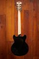 D'Angelico Premier Brighton - Black Flake