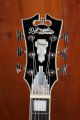 D'Angelico Premier Brighton - Black Flake