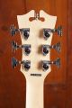 D'Angelico Premier Brighton - Black Flake