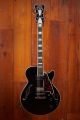 D'Angelico Premier SS - Black Flake