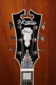 D'Angelico Premier SS - Black Flake