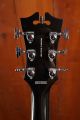 D'Angelico Premier SS - Black Flake