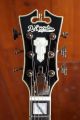 D'Angelico Deluxe Bedford SH Desert Gold