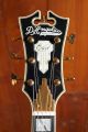 D'Angelico Excel 59 Black Dog