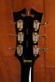 D'Angelico Excel 59 Black Dog