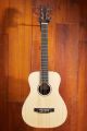 Martin LX1