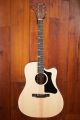 Gibson G-Writer Generation EC