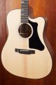 Gibson G-Writer Generation EC