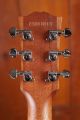 Gibson G-Writer Generation EC