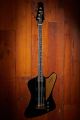 Gibson Rex Brown Thunderbird