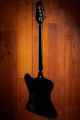 Gibson Rex Brown Thunderbird