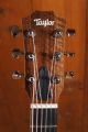 Taylor GS Mini-e Rosewood