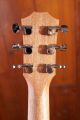 Taylor GS Mini Mahogany