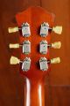 Eastman T64/v-T Gold Burst Hollow Thinline