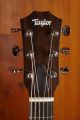 Taylor GS Mini-e Koa