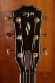 Taylor 814ce Builder's Edition