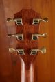Taylor 814ce Builder's Edition