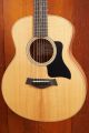 Taylor GS Mini Sapele