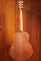 Taylor GS Mini Sapele