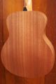 Taylor GS Mini Sapele