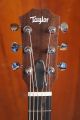 Taylor GS Mini Sapele