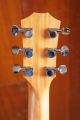 Taylor GS Mini Sapele