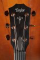 Taylor 724ce Koa