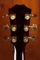 Taylor T5z Custom Koa
