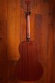Eastman E1P Bluesmaster LTD Edition