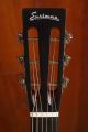 Eastman E1P Bluesmaster LTD Edition