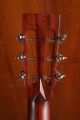 Eastman E1P Bluesmaster LTD Edition