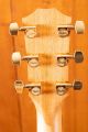 Taylor 217e-SB Plus 50th Anniversary